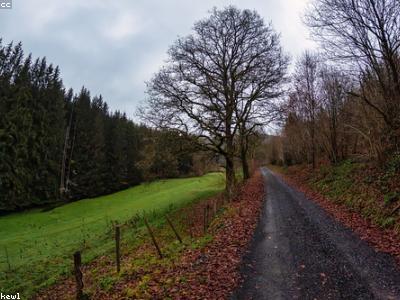 Airport Drop & Pickup